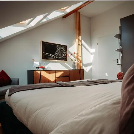 Luxury Oasis, Sauna, Ac And Free Parking Brno Exterior photo